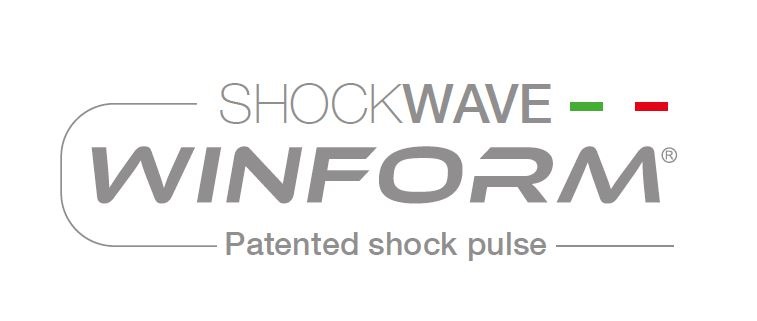 logo shockwave Winform